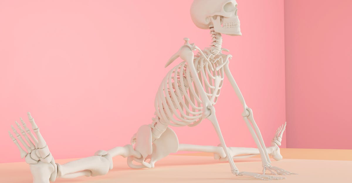 explore the fascinating world of biomechanics, where biology and mechanics intersect to study human movement, improve athletic performance, and advance medical technology.