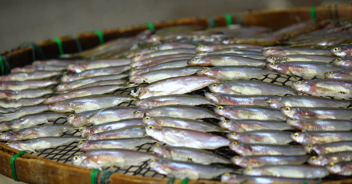 discover the importance of function preservation in mathematics and programming. learn how maintaining the integrity of functions ensures accuracy, consistency, and reliability in various applications.