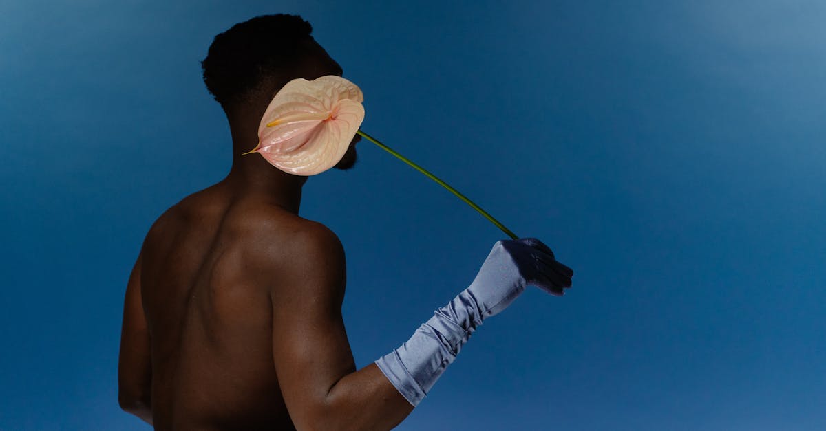 discover the latest in innovative implants designed for improved health, enhanced durability, and advanced functionality. explore groundbreaking solutions tailored to your unique needs.