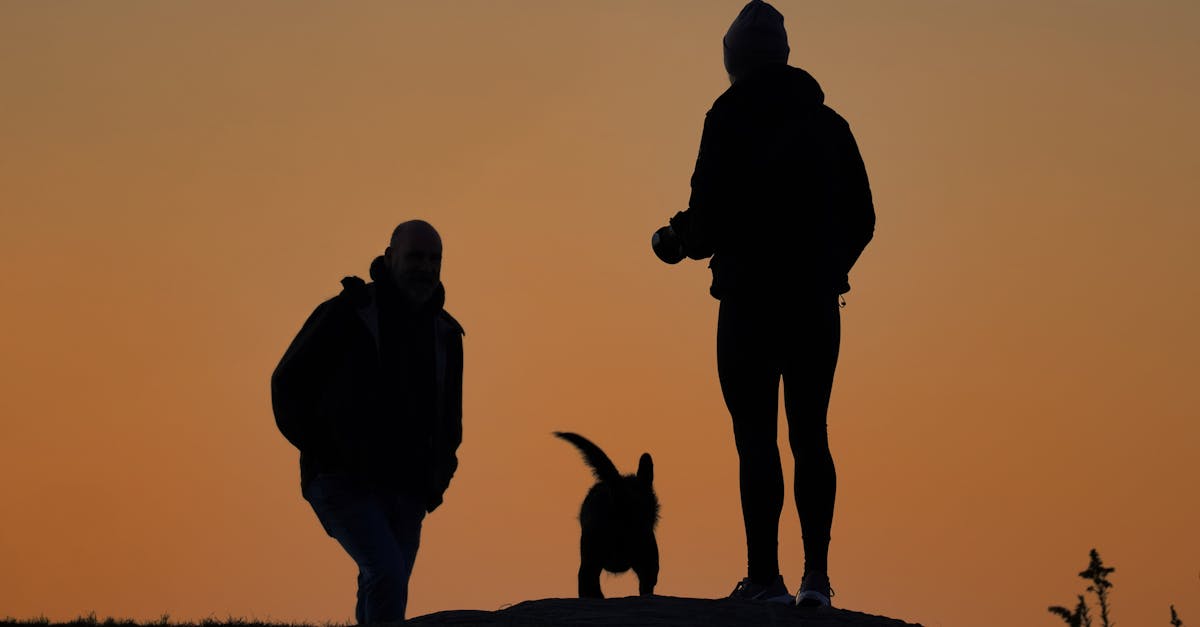 discover the latest advancements in motion surgery. learn how innovative surgical techniques can restore mobility and improve quality of life for patients with musculoskeletal disorders.