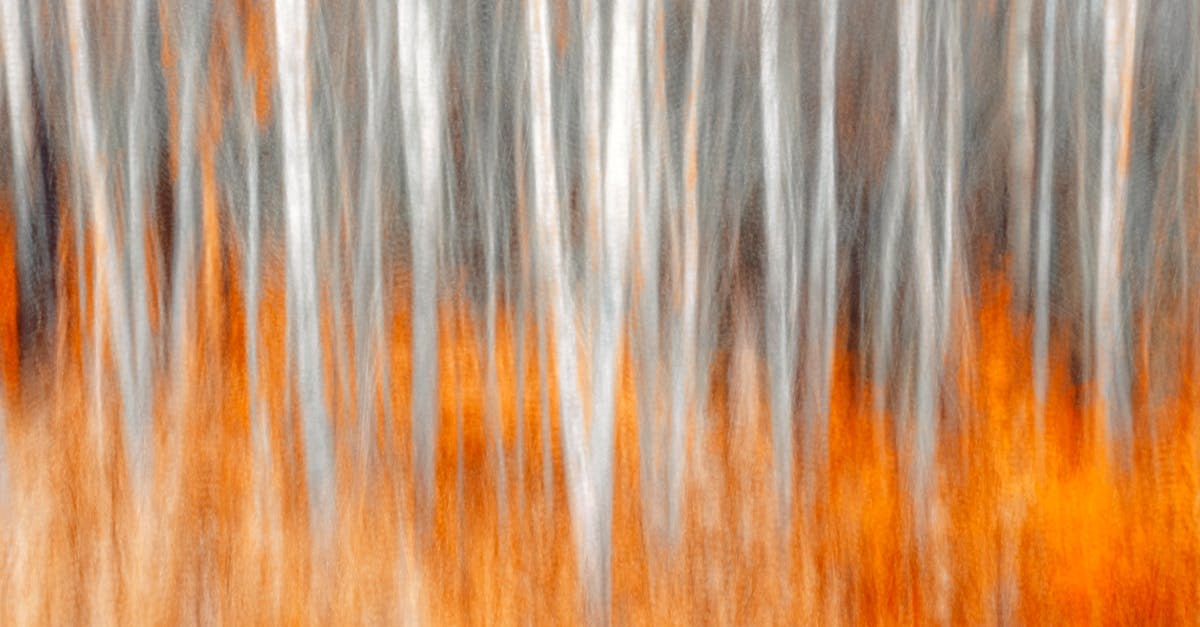 explore the latest advancements in motion surgery, including innovative techniques, patient benefits, and expert insights to enhance mobility and recovery.