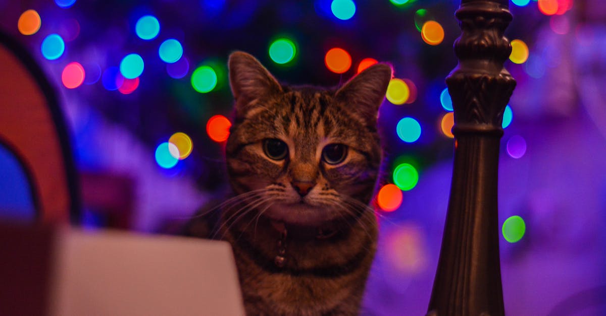 learn about best practices and essential steps for effective post-operative follow-up care to ensure a safe and speedy recovery after surgery.