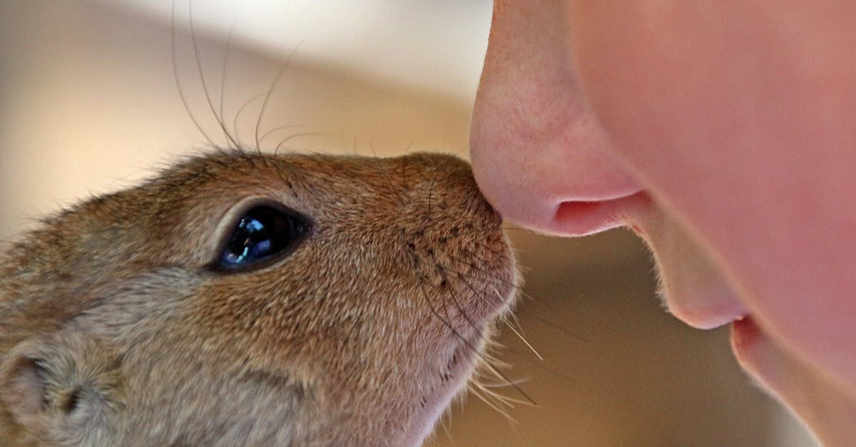 discover the true meaning of trust and why it is essential in building strong relationships, both personally and professionally. explore key aspects, benefits, and ways to foster trust in everyday life.